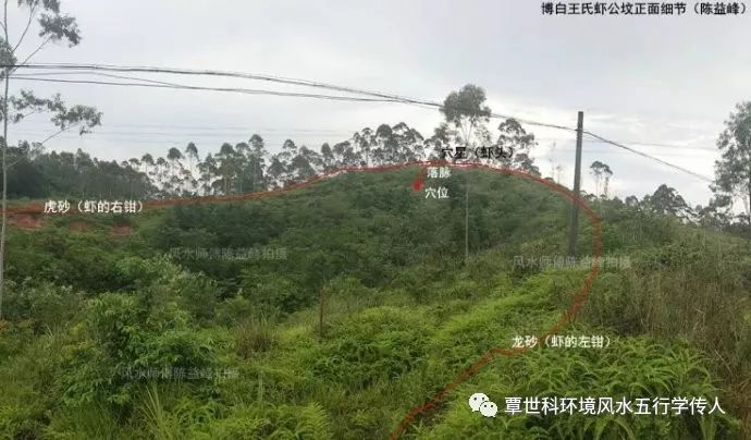 陈益峰:学习寻龙点穴,必须掌握的基础术语