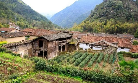 风水师傅透露:老人过世安葬在这些风水附近,