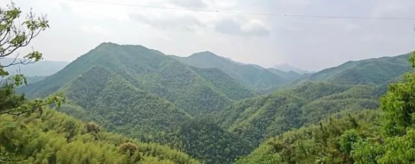 风水师傅透露:老人过世安葬在这些风水附近,