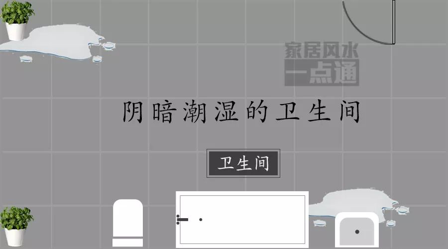 1503631377387.jpg