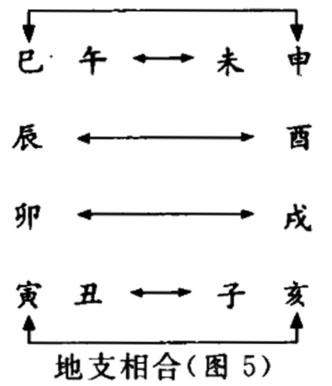 地支六合,你了解吗?