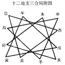 地支六合,你了解吗?