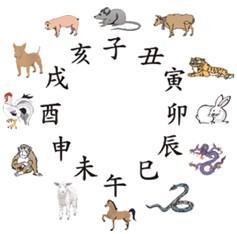 十二地支里藏的都有什么?
