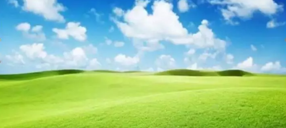 1565395278470492.png