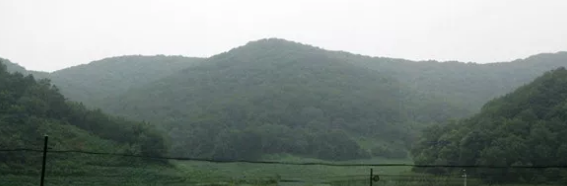 1565523941698645.png