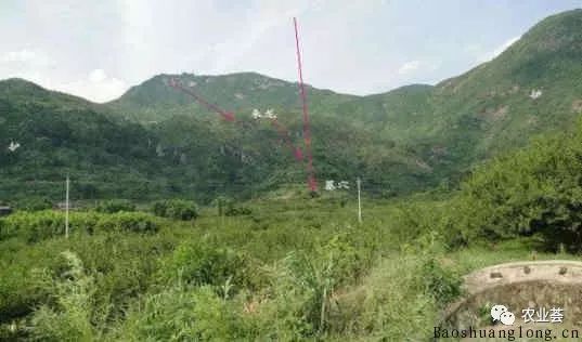 新坟地怎么看出好风水