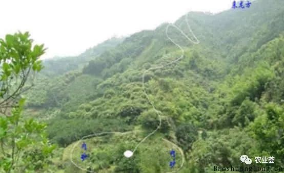 新坟地怎么看出好风水