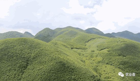 坟墓的正前方不宜有高山