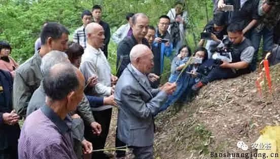 上坟烧香的讲究