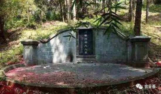 如何改良农村坟地风水及讲究