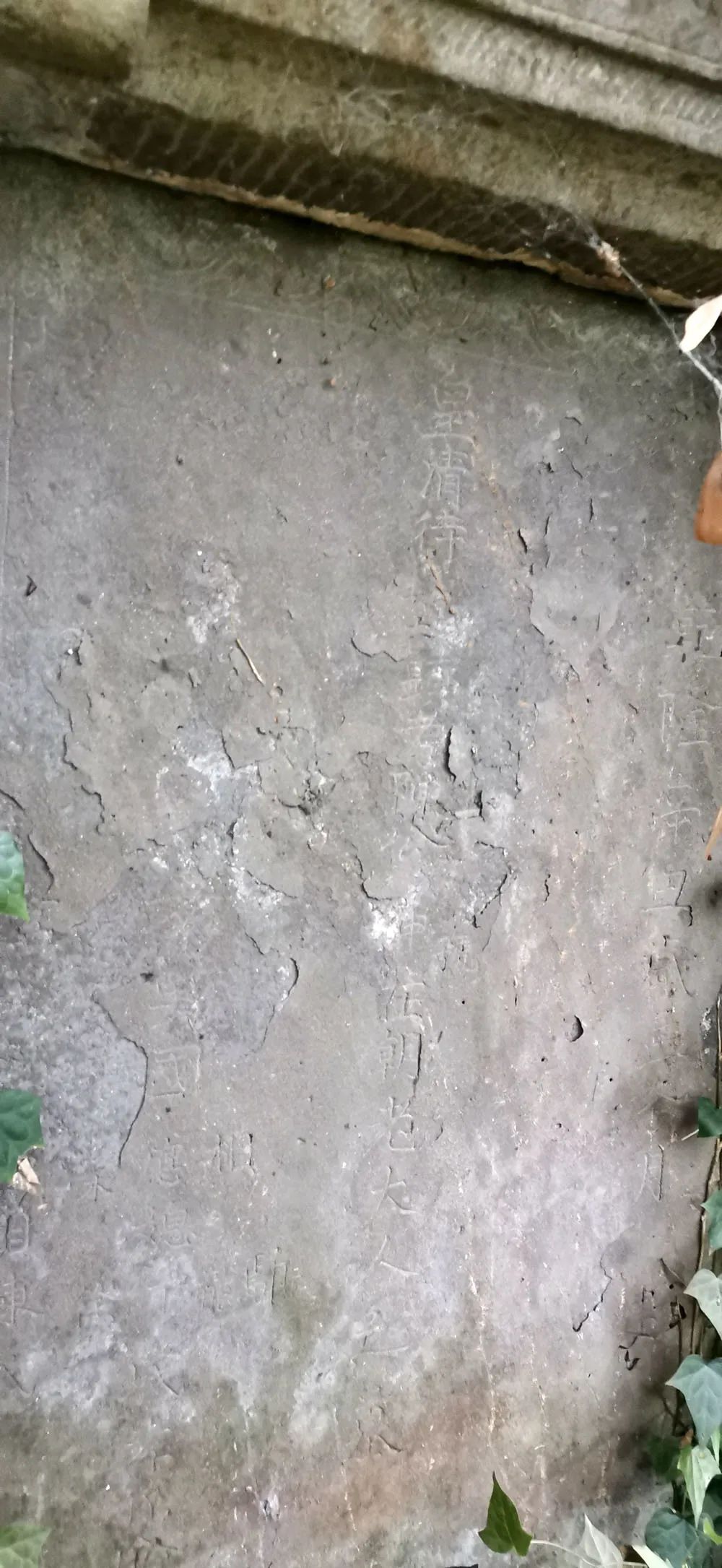 1590464073353285.jpg