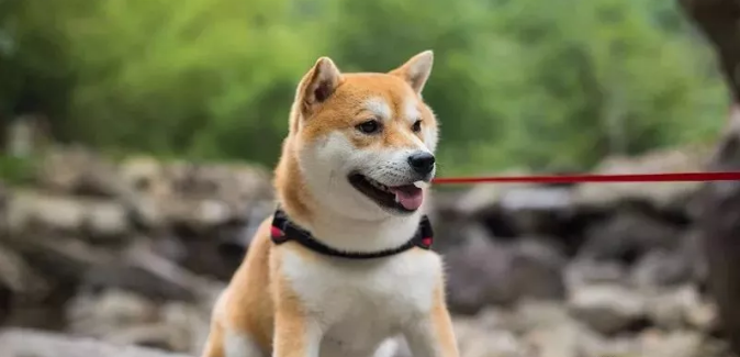 1577541816109488.png