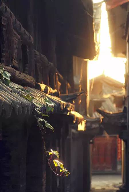 设计丨中国古建之美:门、门墩、门环、门钉、斗拱、飞檐、屋顶、马头墙