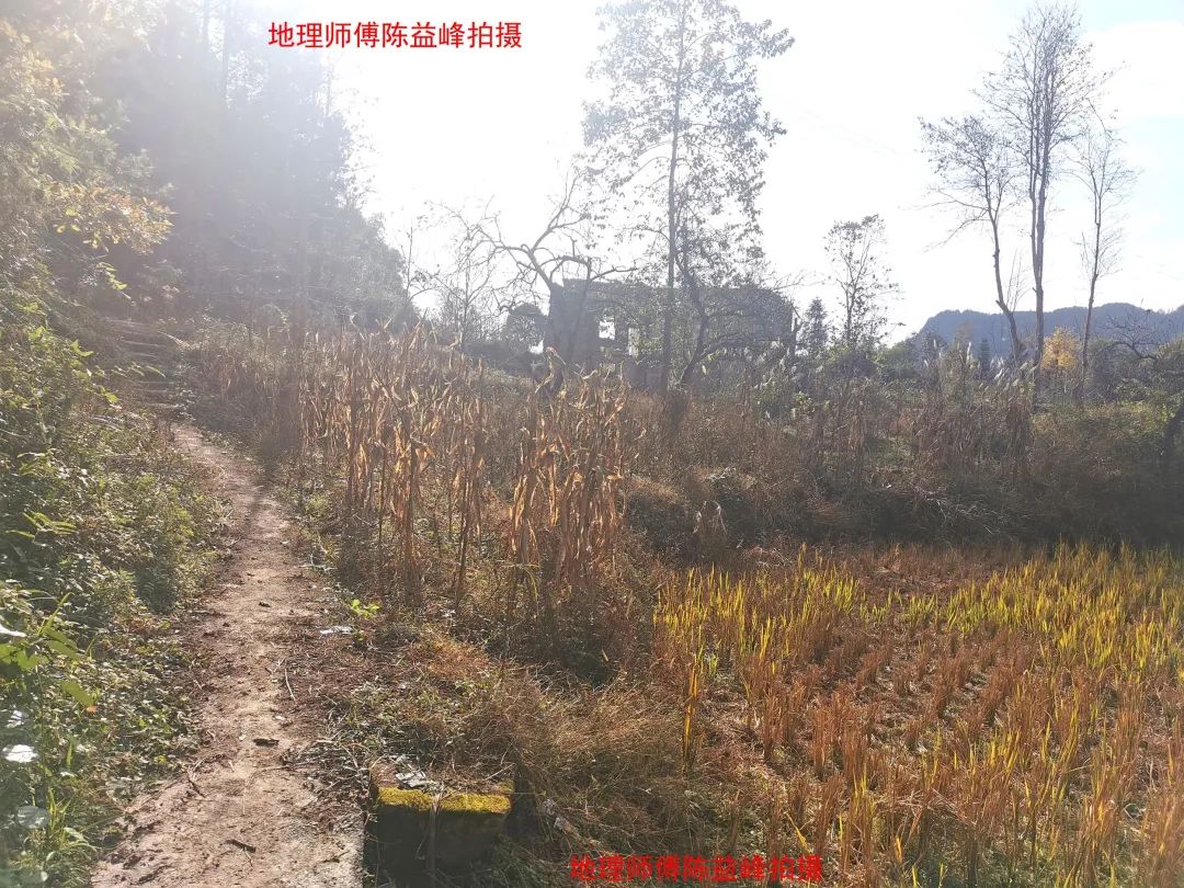 1607574341395165.jpg 图片