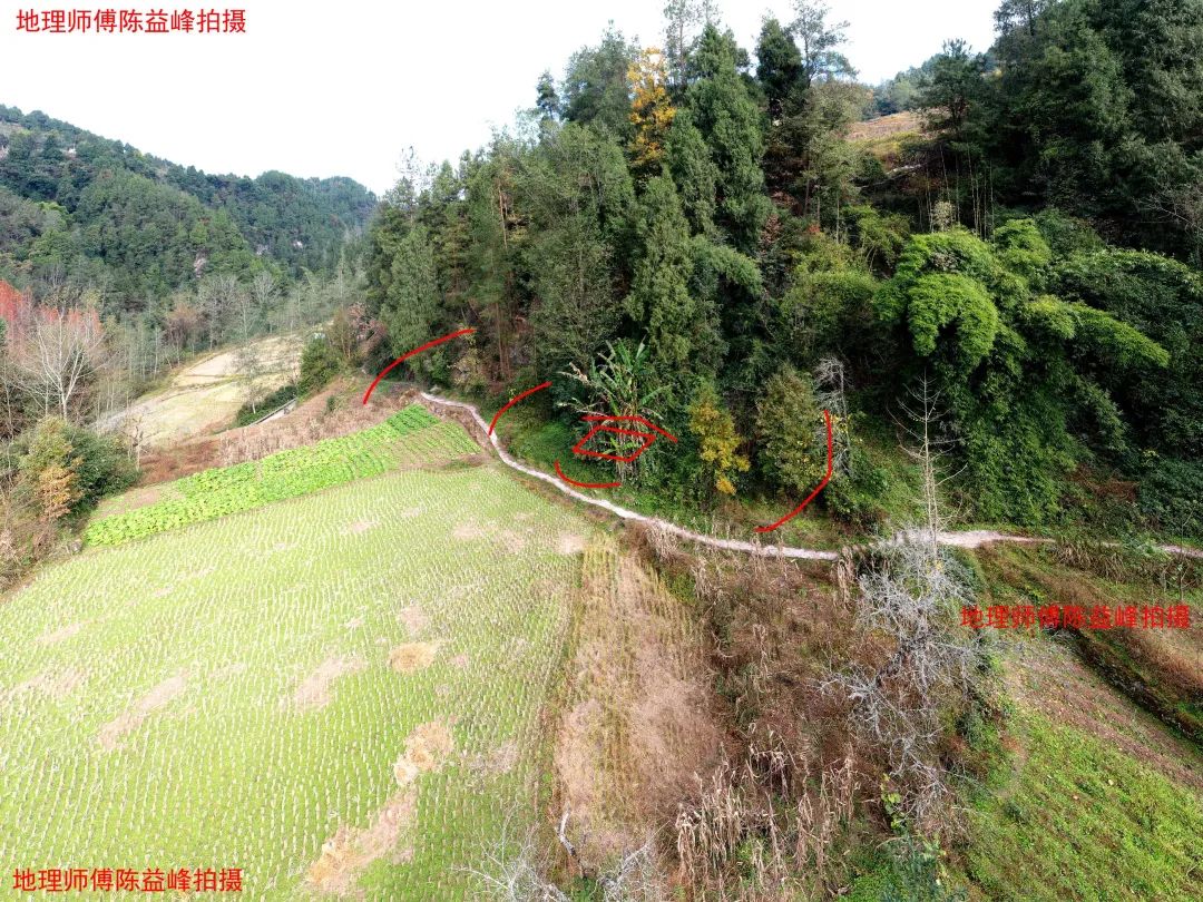 1607571907931122.jpg 图片