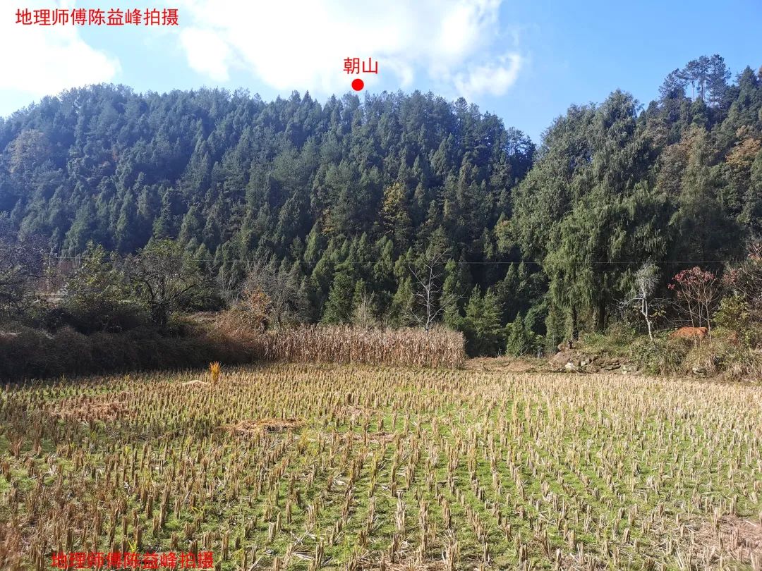 1607574357416900.jpg 图片