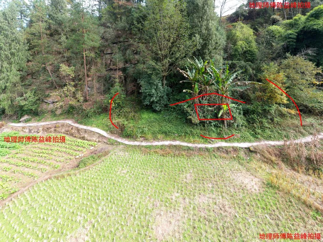 1607571899536826.jpg 图片
