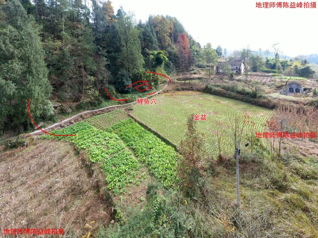 1607571697121874.jpg 图片