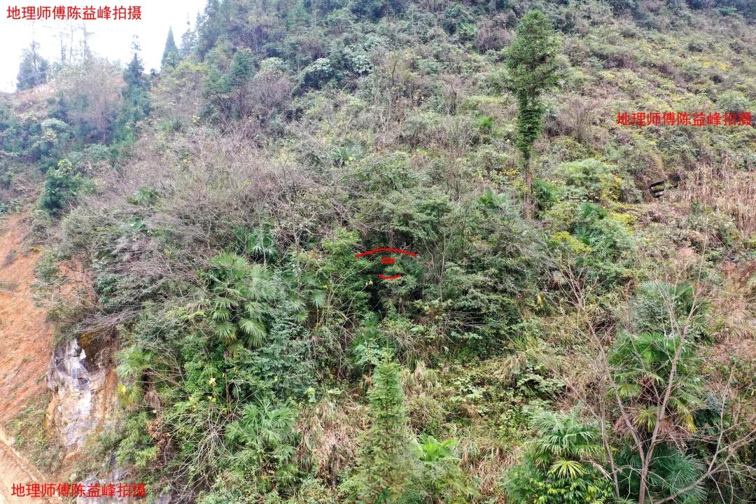 1607844646432361.jpg 图片