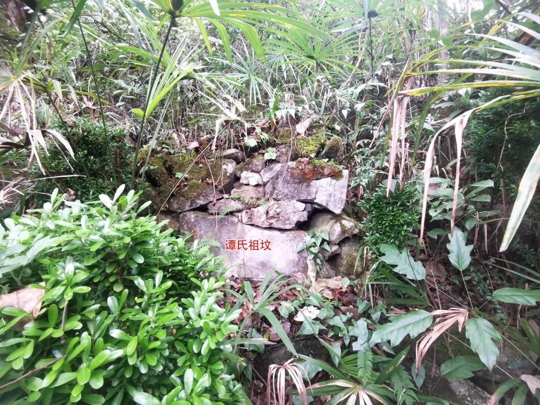 1607844798478962.jpg 图片