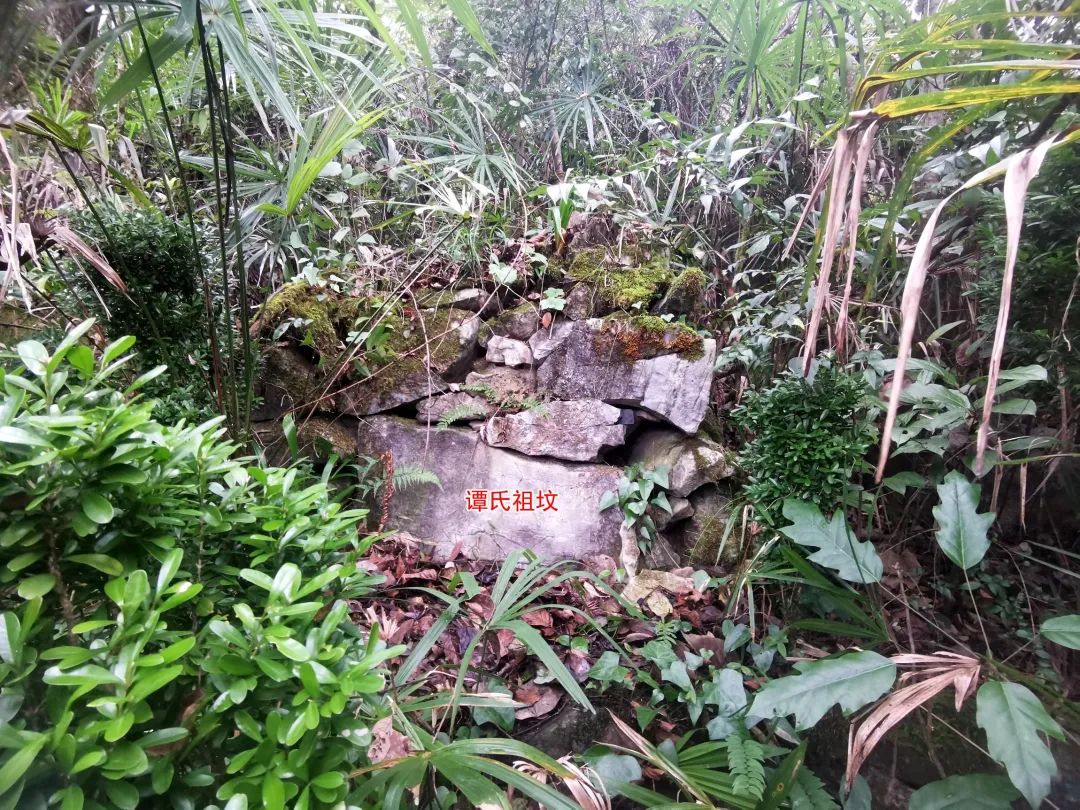 1607844865861889.jpg 图片