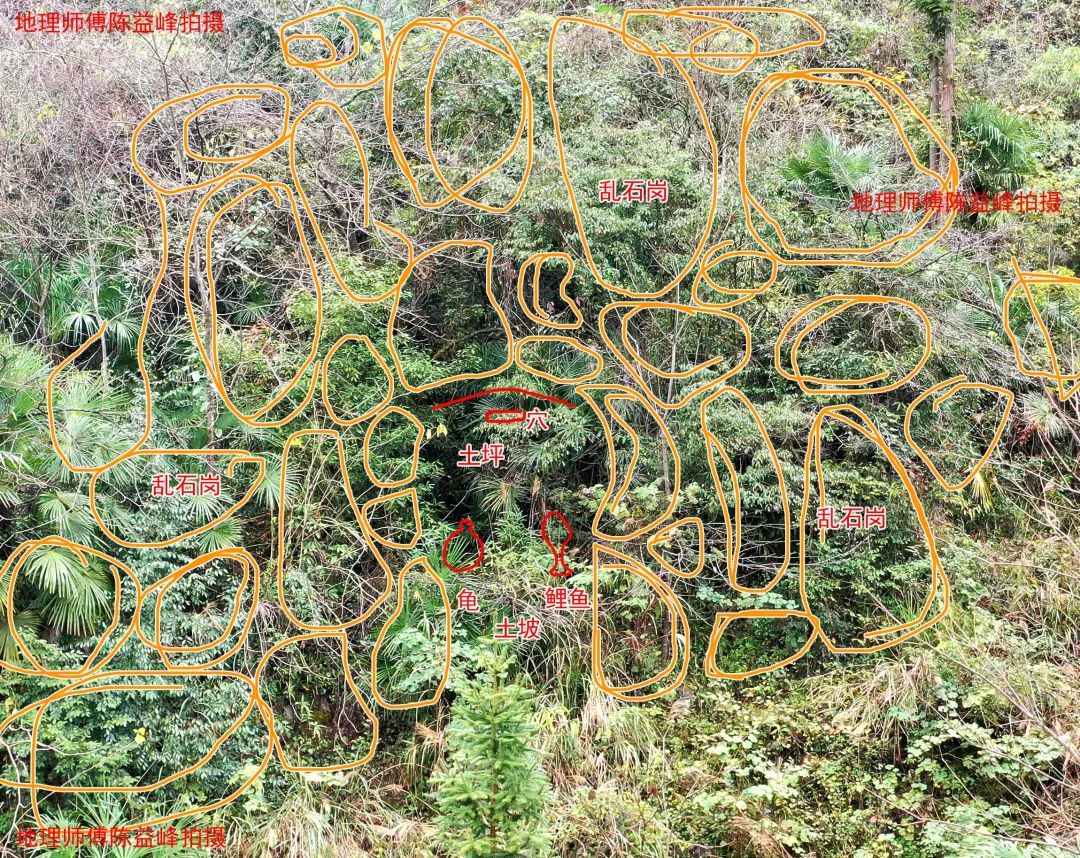 1607844667136633.jpg 图片