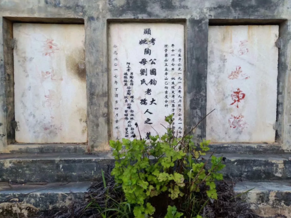 1564524549583370.png
