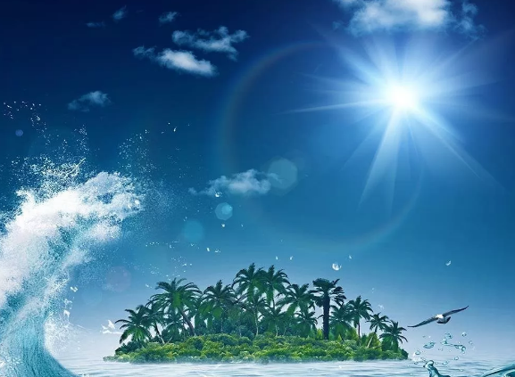 1565511941479481.png 1.png