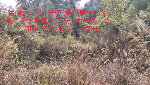 1568191169910981.png