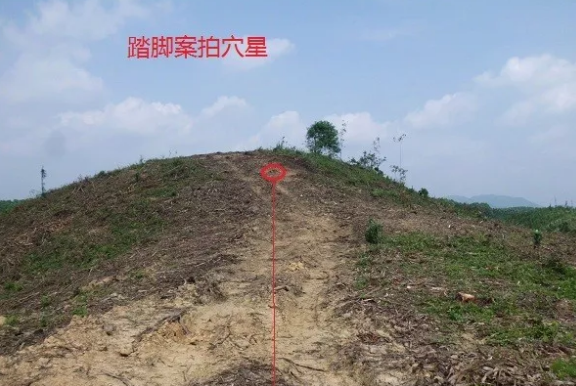1568334435270903.png