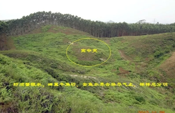1568679577201659.png 3.png