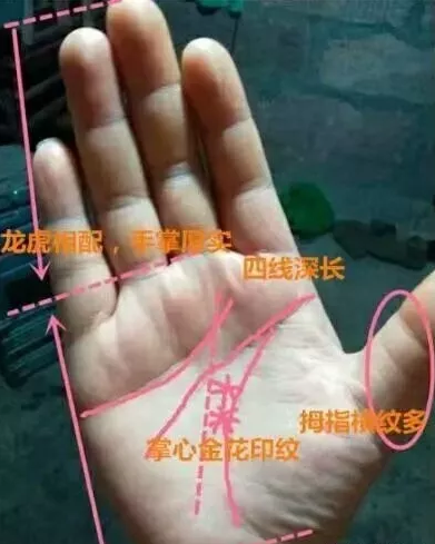 1568770785196661.png 4.png