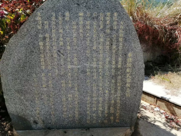 1571840626381485.png