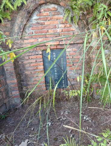 1572971112781682.png