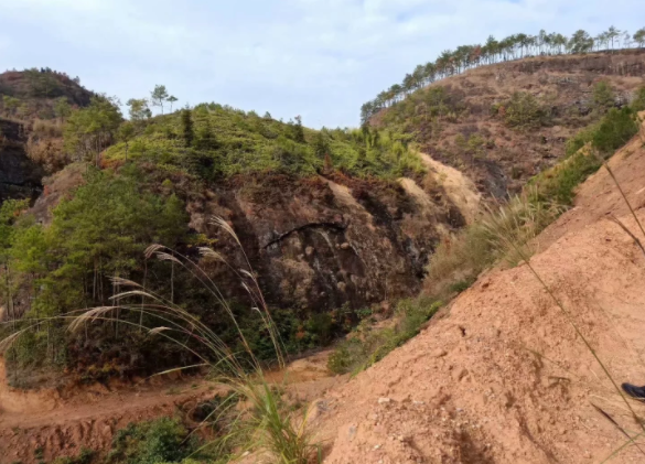 1575725773225014.png