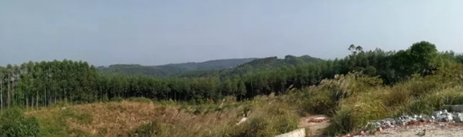 1576597971703101.png 1.png