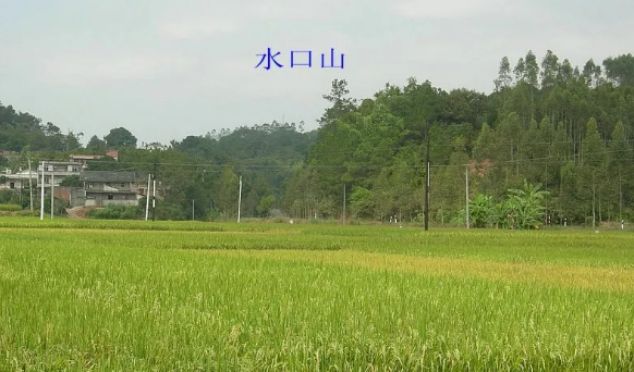 1577163329885567.png