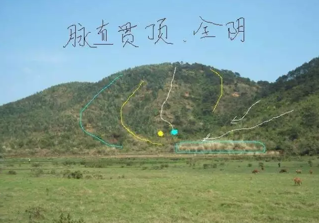 1577357062384992.png 1.png