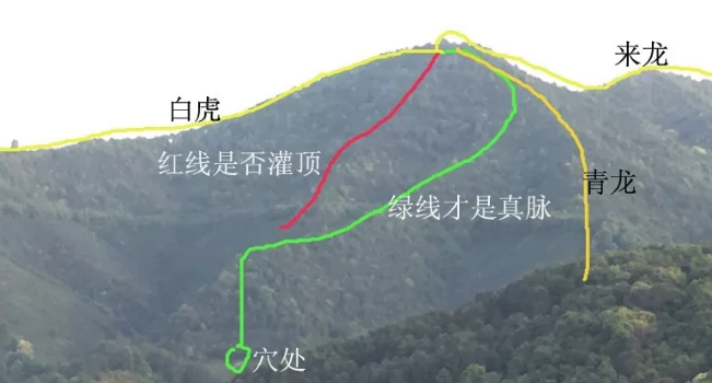 1579094702418127.png 4.png