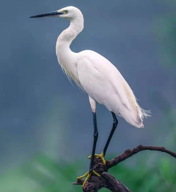 1580275430680847.png 14.png