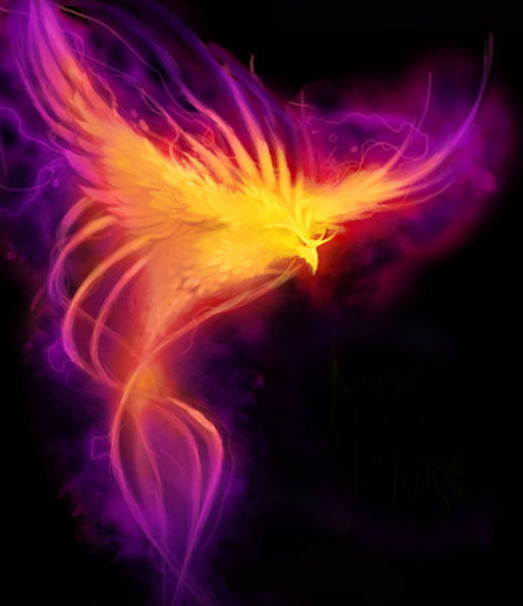 1580562833600241.png 3.png