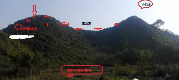 1583628058626808.png 1.png