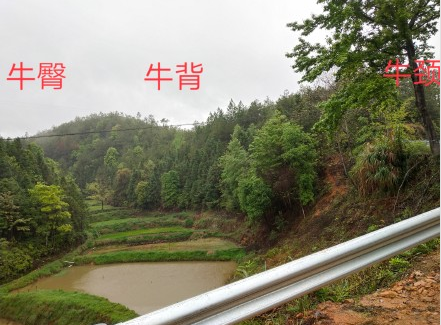1585731168125032.png 2.png