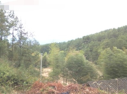 1585732966750711.png 3.png