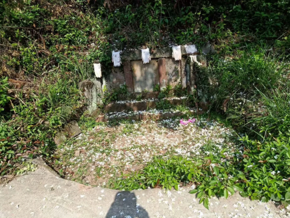 1588679008887542.png