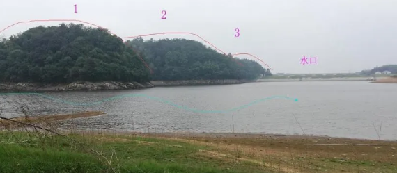 1589719731345500.png 1.png