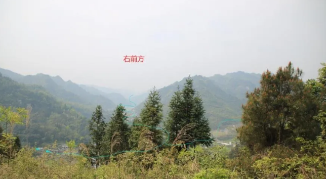 1590135194192216.png 1.png