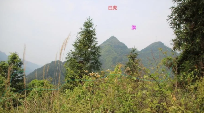 1590137426735257.png