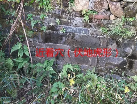 1594090200837912.png 1.png
