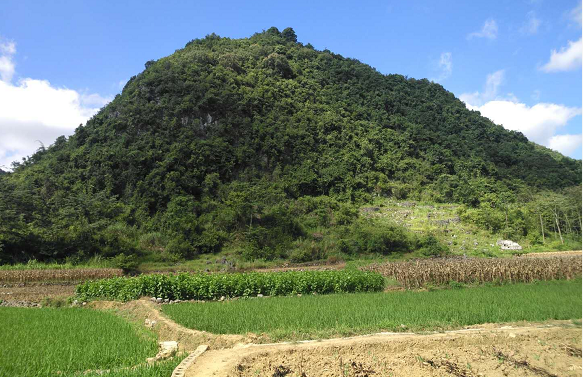 1596426547158124.png
